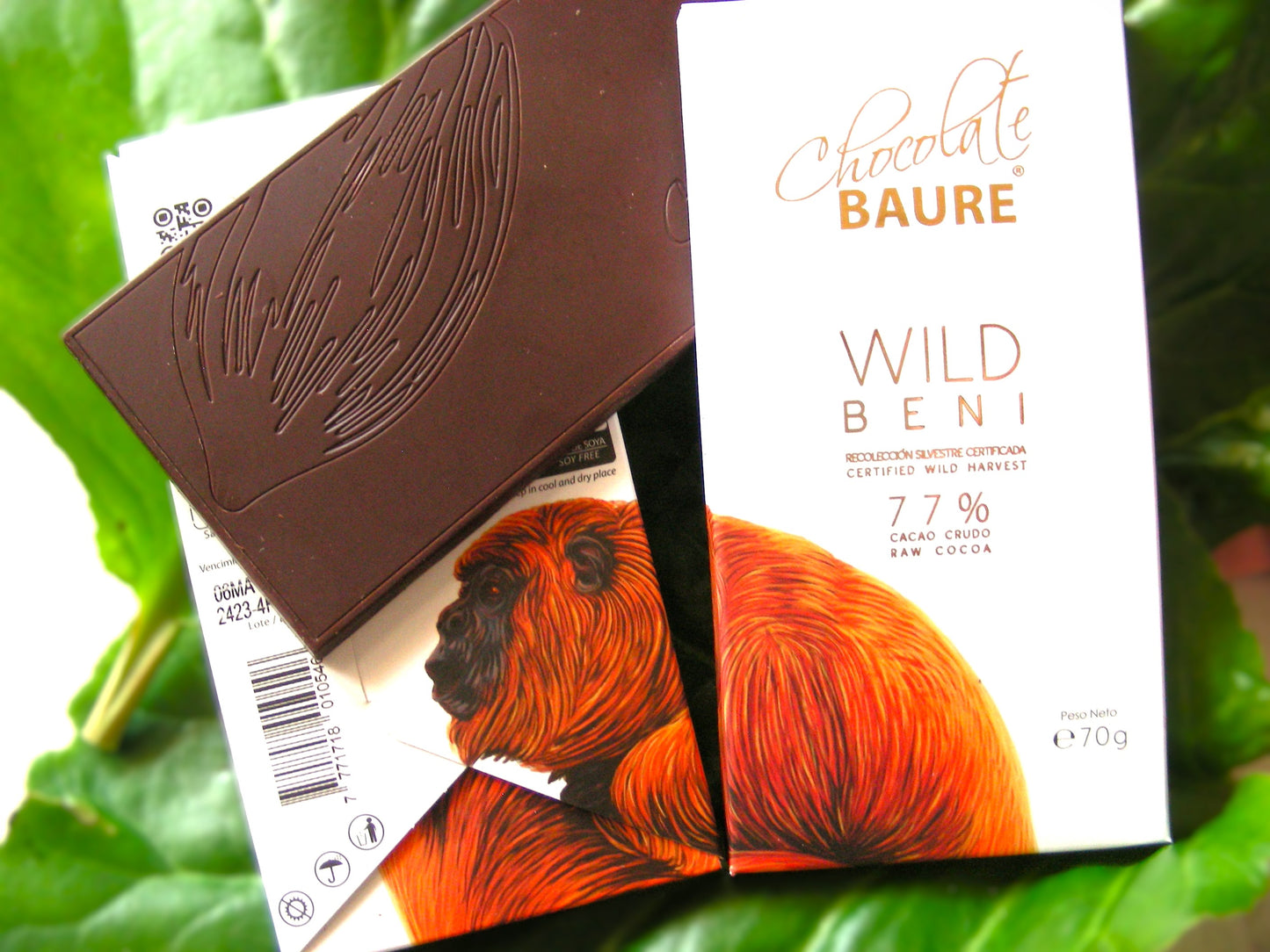 Rohkakaoschokolade 77% wilder Kakao - Bio - vegan