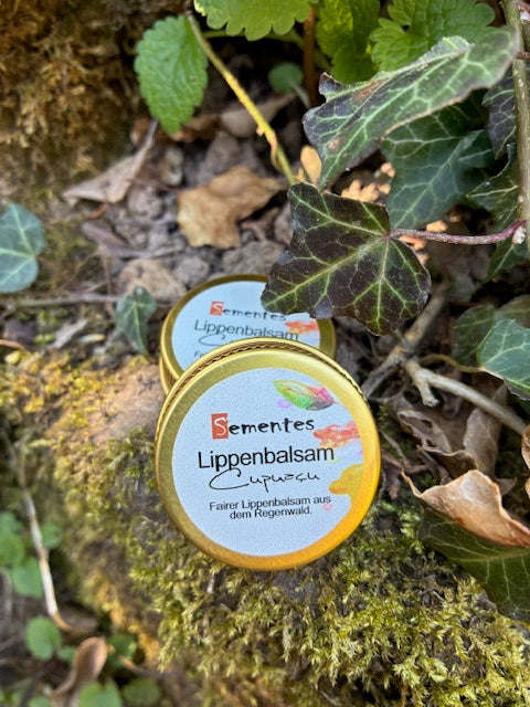 Lippenbalsam im Tiegel